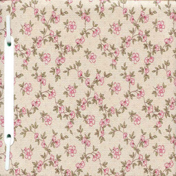 Zeige Details für Das Vergessene Manuskript Bild von Das Vergessene Manuskript