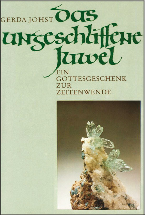 Bild von Das ungeschliffene Juwel